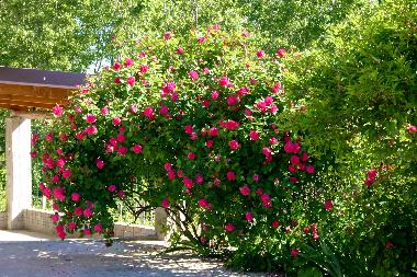 Casa de vacaciones en Cisterna d