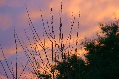 Casa de vacaciones en Illmitz (Nordburgenland)Casa de vacaciones