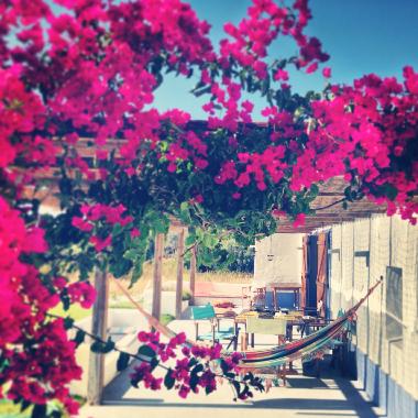 Casa de vacaciones en Melides (Alentejo Litoral)Casa de vacaciones