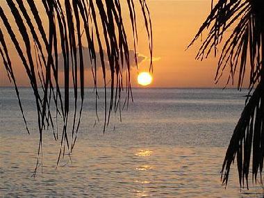 Apartamento de vacaciones en saint fran�ois (Guadeloupe)Casa de vacaciones