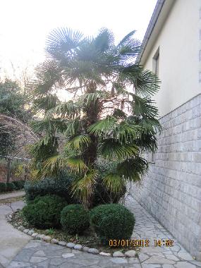 Villa en kotor (Montenegro)Casa de vacaciones