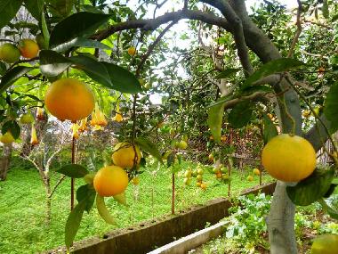 Apartamento de vacaciones en Scauri (Latina)Casa de vacaciones