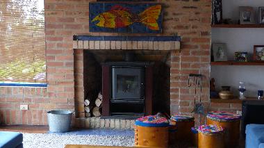 Chimenea sala principal