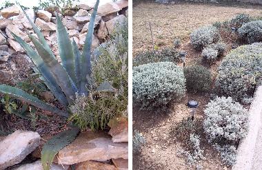 Apartamento de vacaciones en Novigrad (Zadarska)Casa de vacaciones