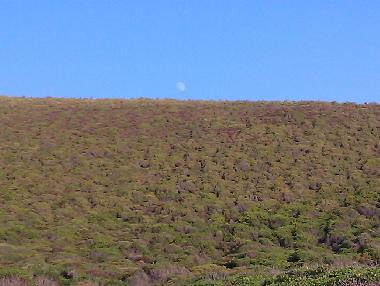 Casa de vacaciones en TORRE DEI CORSARI - Medio Campidano (Medio Campidano)Casa de vacaciones