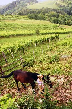 Casa de vacaciones en Zagorska Sela (Krapinsko-Zagorska)Casa de vacaciones