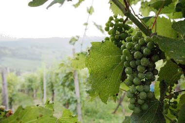 Casa de vacaciones en Zagorska Sela (Krapinsko-Zagorska)Casa de vacaciones