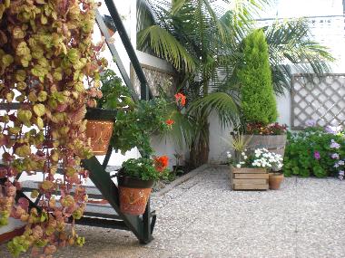 Vista parcial del jard�n de la casa.