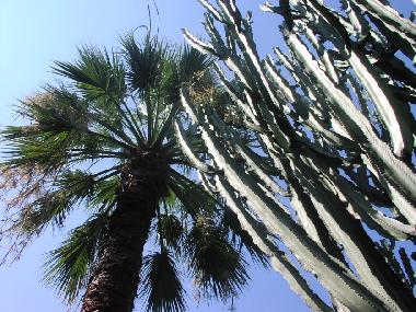 Casa de vacaciones en Tropea (Vibo Valentia)Casa de vacaciones