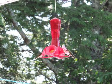 Casa de vacaciones en Weymouth (Nova Scotia)Casa de vacaciones