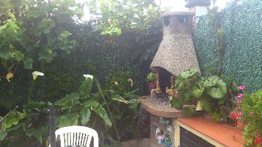 patio trasero barbacoa