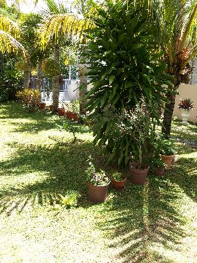 Apartamento de vacaciones en Pereybere (Pereybere)Casa de vacaciones