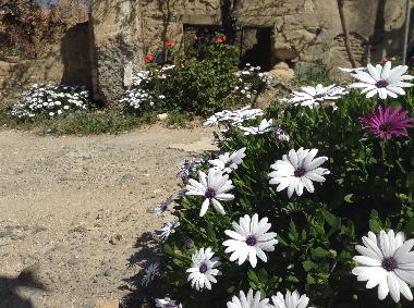 Casa de vacaciones en Pera Orinis (Nicosia)Casa de vacaciones