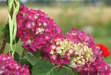 Casa de vacaciones en B�rnau / Schwarzenbach (Oberpfalz)Casa de vacaciones