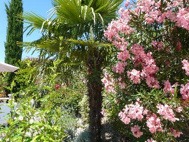 Casa de vacaciones en Les mages (Gard)Casa de vacaciones