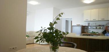Apartamento de vacaciones en Dubrovnik (Dubrovacko-Neretvanska)Casa de vacaciones