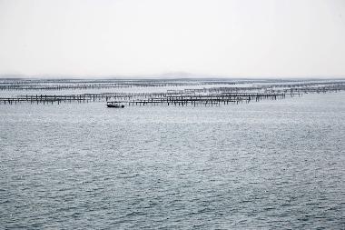 Casa de vacaciones en Bouzigues (Hrault)Casa de vacaciones