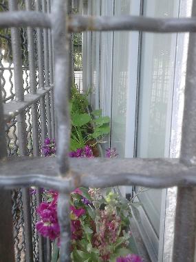 Apartamento de vacaciones en Tel-Aviv (Tel Aviv)Casa de vacaciones