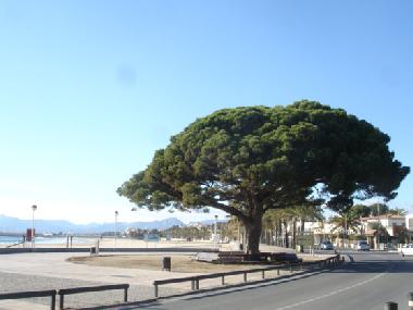 Apartamento de vacaciones en CAMBRILS (Tarragona)Casa de vacaciones