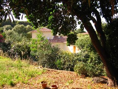 Apartamento de vacaciones en LUMIO (Haute-Corse)Casa de vacaciones