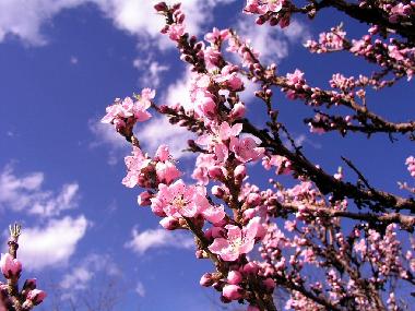 Apartamento de vacaciones en Palermo (Palermo)Casa de vacaciones