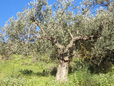 Casa de vacaciones en Ermioni (Argolida)Casa de vacaciones