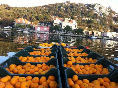 Apartamento de vacaciones en Rogotin (Dubrovacko-Neretvanska)Casa de vacaciones