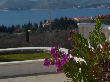 Apartamento de vacaciones en CAVTAT (Dubrovacko-Neretvanska)Casa de vacaciones