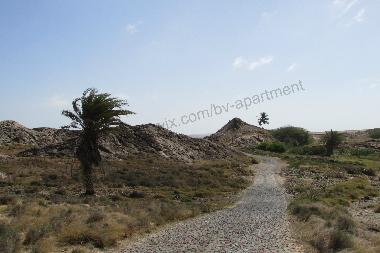 Apartamento de vacaciones en Sal Rei (Boa Vista)Casa de vacaciones