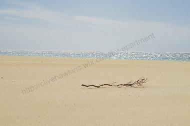 Apartamento de vacaciones en Sal Rei (Boa Vista)Casa de vacaciones