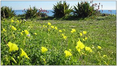 Apartamento de vacaciones en Canselada (Mlaga)Casa de vacaciones