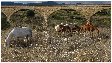 Apartamento de vacaciones en Canselada (Mlaga)Casa de vacaciones