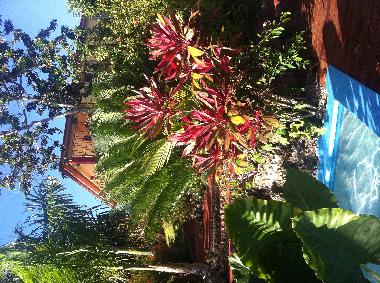 Villa en Rio san Juan  (Sanchez Ramirez)Casa de vacaciones