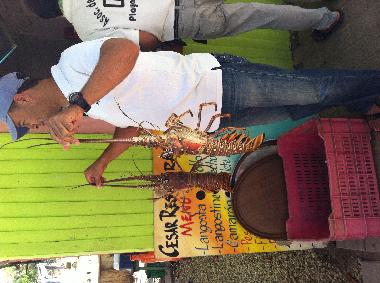 Villa en Rio san Juan  (Sanchez Ramirez)Casa de vacaciones