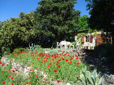 Apartamento de vacaciones en Montecatini Val di Cecina (Pisa)Casa de vacaciones