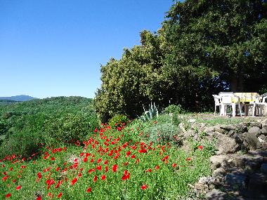 Apartamento de vacaciones en Montecatini Val di Cecina (Pisa)Casa de vacaciones