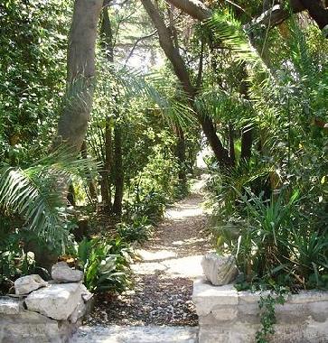 Casa de vacaciones en Orebic (Dubrovacko-Neretvanska)Casa de vacaciones