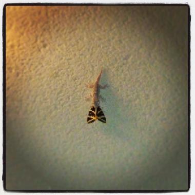 Casa de vacaciones en Ornaisons (Aude)Casa de vacaciones