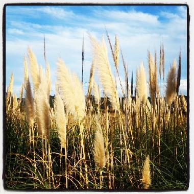 Casa de vacaciones en Ornaisons (Aude)Casa de vacaciones