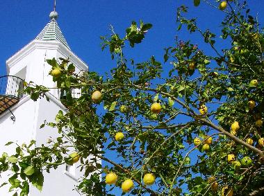 Casa de vacaciones en Arcos de la Frontera (Cdiz)Casa de vacaciones
