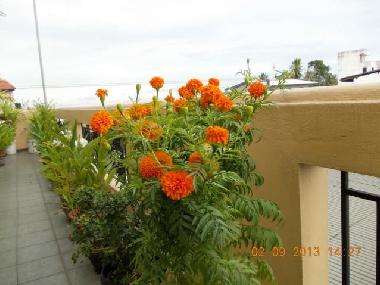 Apartamento de vacaciones en Dehiwala (Colombo)Casa de vacaciones