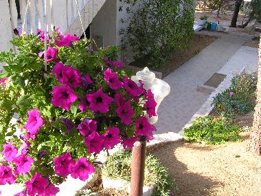 Apartamento de vacaciones en Pag (Zadarska)Casa de vacaciones