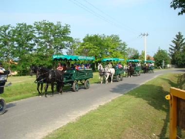 Cama y desayuno en Balatonlelle-R�dpuszta (Somogy)Casa de vacaciones