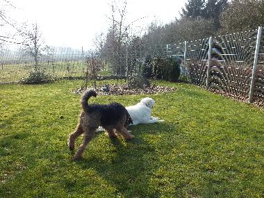 Apartamento de vacaciones en Wanna (Nordsee-Festland / Ostfriesland)Casa de vacaciones