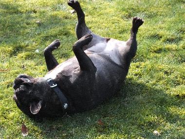 Apartamento de vacaciones en Wanna (Nordsee-Festland / Ostfriesland)Casa de vacaciones