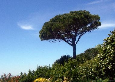 Apartamento de vacaciones en MONTESCUDAIO (Pisa)Casa de vacaciones