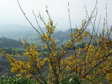 Chalet en Travale (Grosseto)Casa de vacaciones