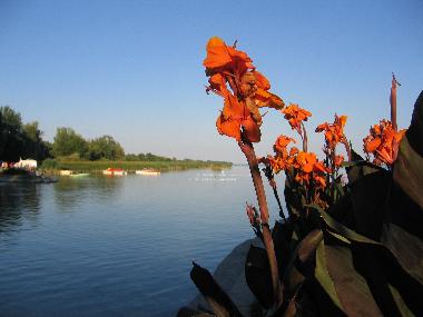 Apartamento de vacaciones en Keszthely (Zala)Casa de vacaciones