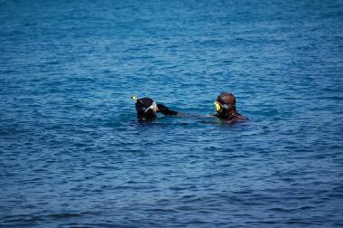 Cama y desayuno en KELIBIA (Nabul)Casa de vacaciones