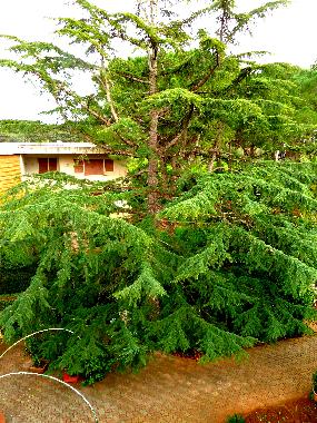 Villa en Mondello (Palermo)Casa de vacaciones